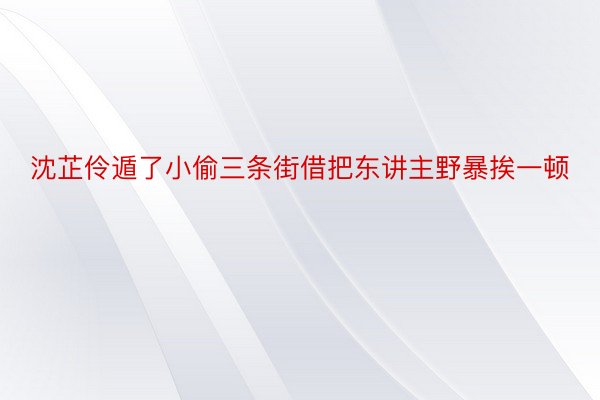 沈芷伶遁了小偷三条街借把东讲主野暴挨一顿